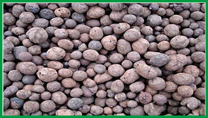 江西陶粒廠 園林綠化陶粒 建筑保溫陶粒價格 回填陶粒批發(fā)